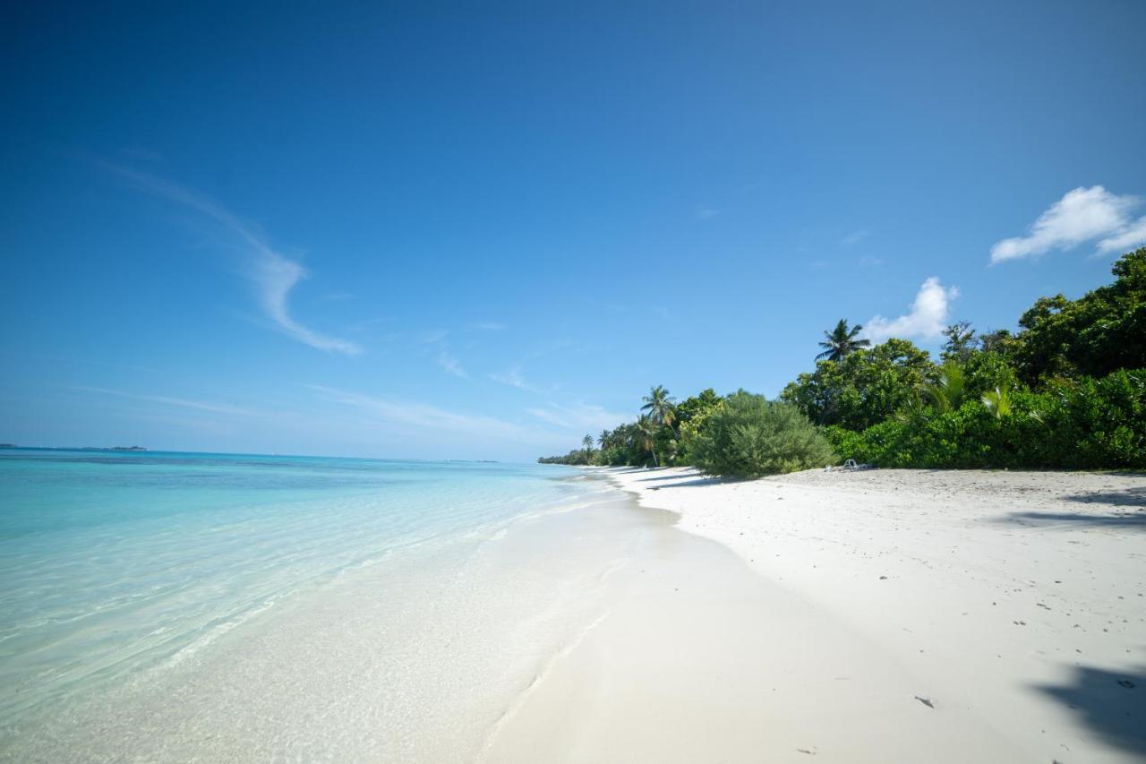 Whaleshark Beach Dhigurah  Luaran gambar